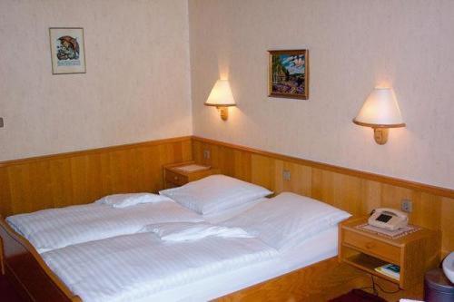 Hotel Waldesruh Георгсмариенхютте Номер фото